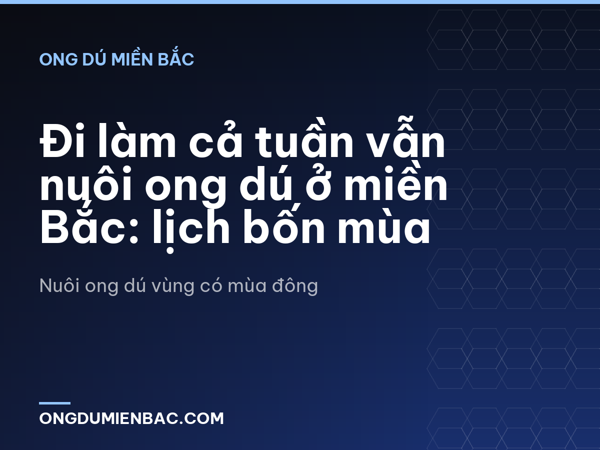 Đi làm cả tuần vẫn nuôi ong dú ở miền Bắc: lịch bốn mùa