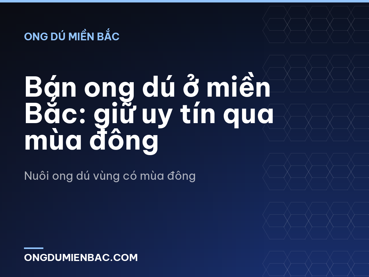 Bán ong dú ở miền Bắc: giữ uy tín qua mùa đông