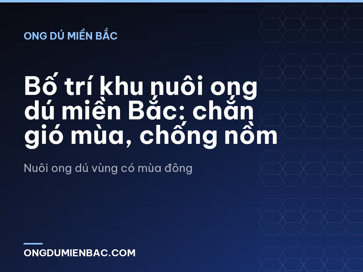 Bố trí khu nuôi ong dú miền Bắc: chắn gió mùa, chống nồm