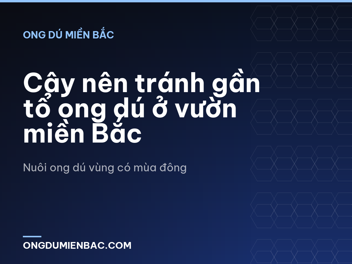 Cây nên tránh gần tổ ong dú ở vườn miền Bắc