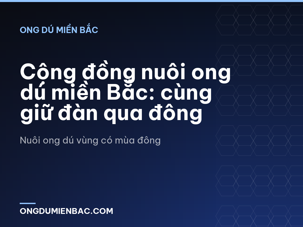 Cộng đồng nuôi ong dú miền Bắc: cùng giữ đàn qua đông