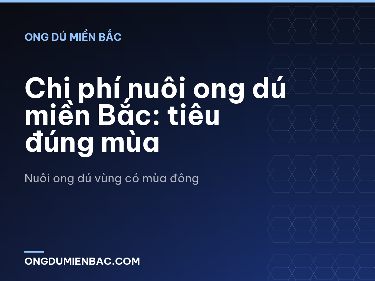 Chi phí nuôi ong dú miền Bắc: tiêu đúng mùa