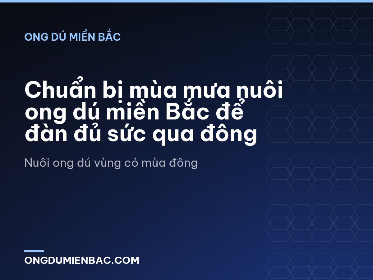 Chuẩn bị mùa mưa nuôi ong dú miền Bắc để đàn đủ sức qua đông