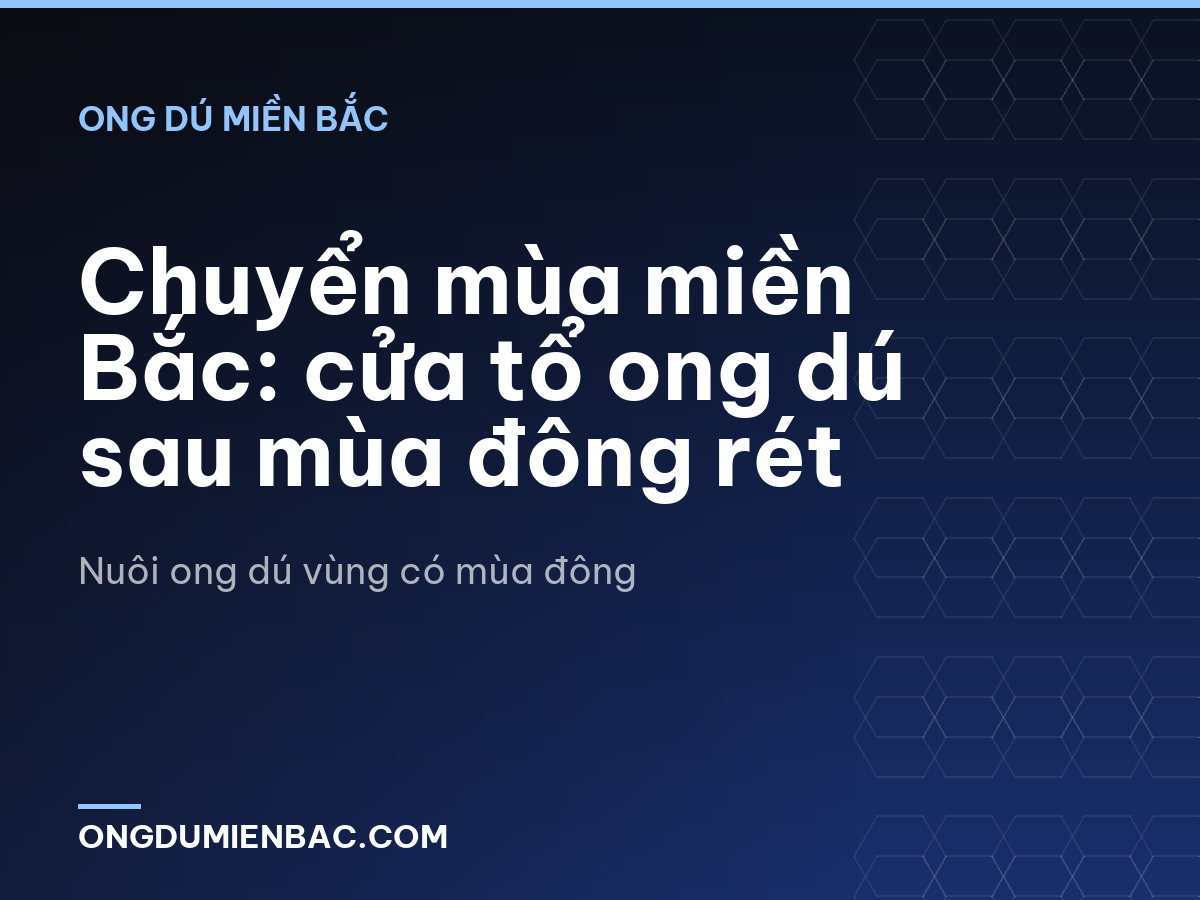 Chuyển mùa miền Bắc: cửa tổ ong dú sau mùa đông rét