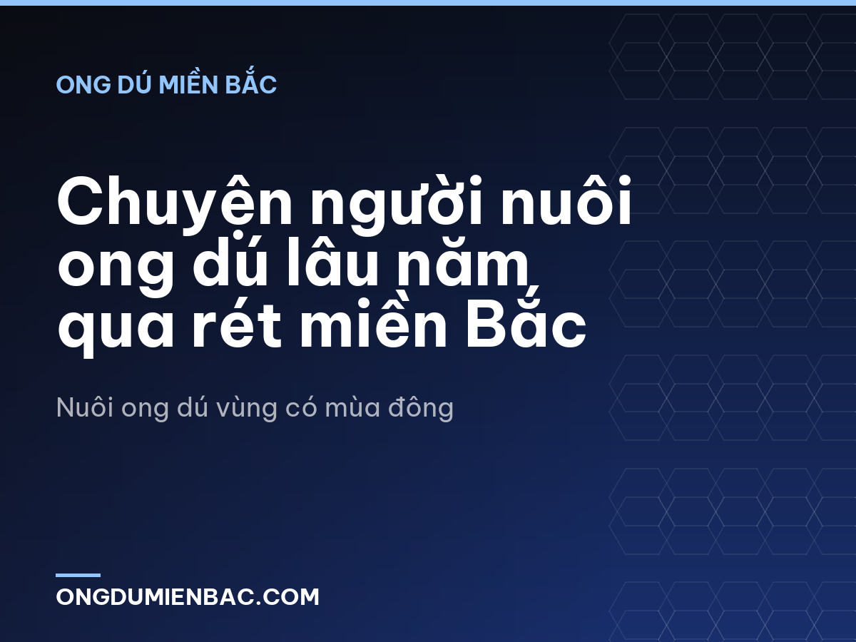 Chuyện người nuôi ong dú lâu năm qua rét miền Bắc