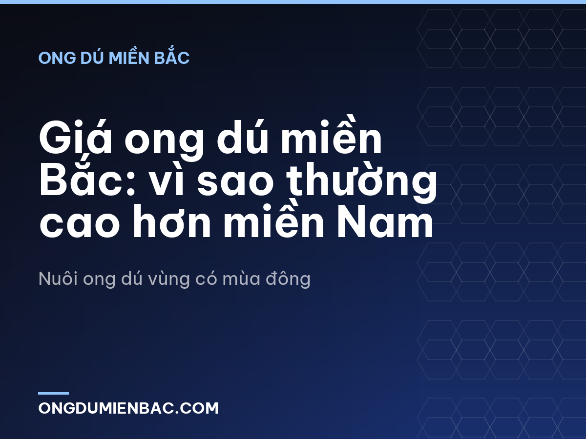 Giá ong dú miền Bắc: vì sao thường cao hơn miền Nam