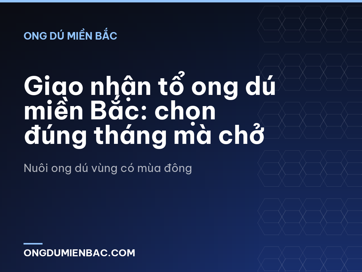 Giao nhận tổ ong dú miền Bắc: chọn đúng tháng mà chở