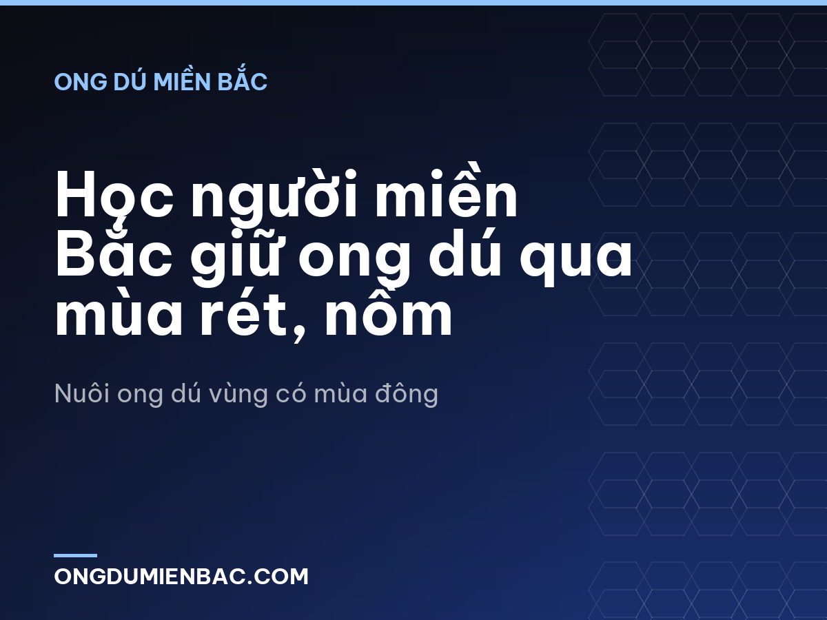 Học người miền Bắc giữ ong dú qua mùa rét, nồm