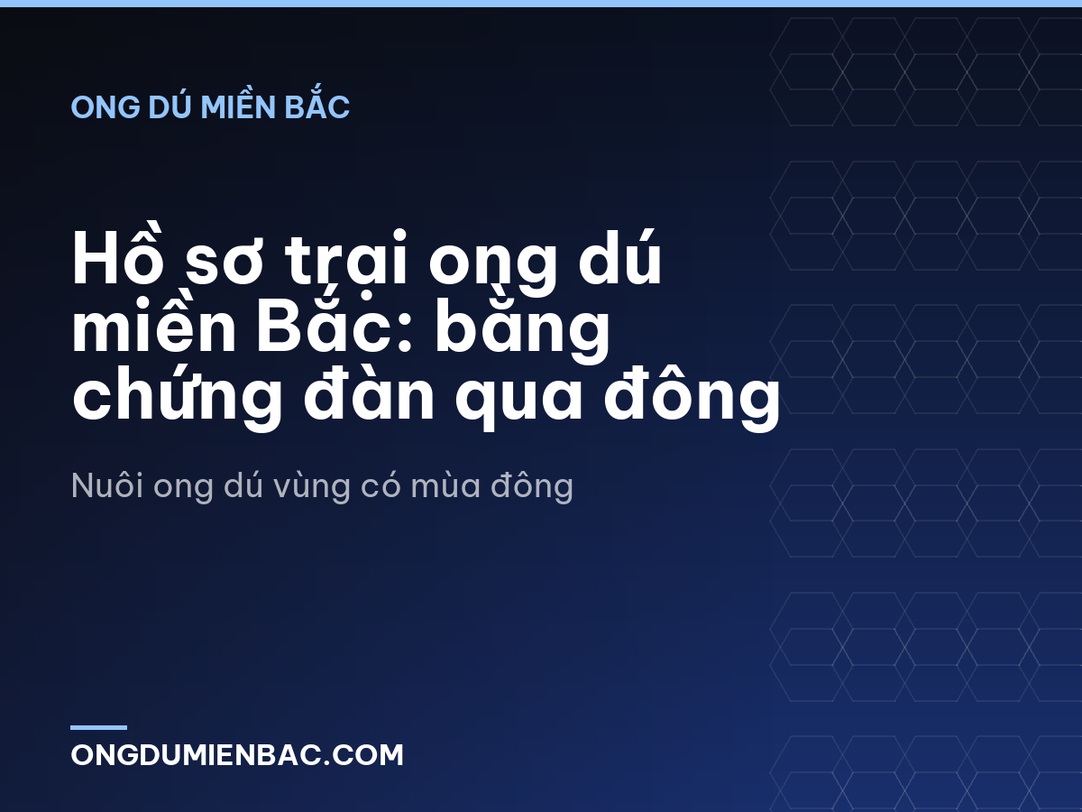 Hồ sơ trại ong dú miền Bắc: bằng chứng đàn qua đông