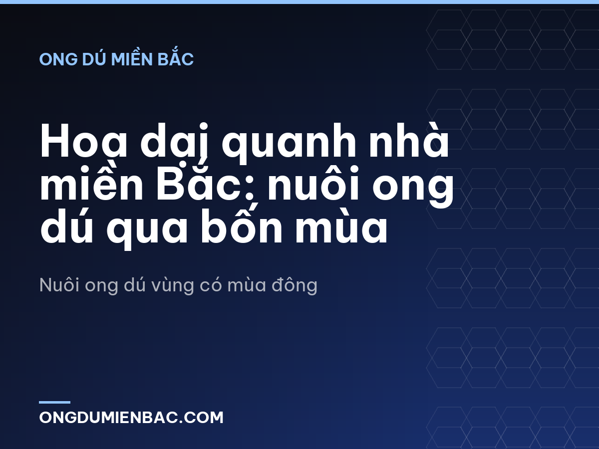 Hoa dại quanh nhà miền Bắc: nuôi ong dú qua bốn mùa