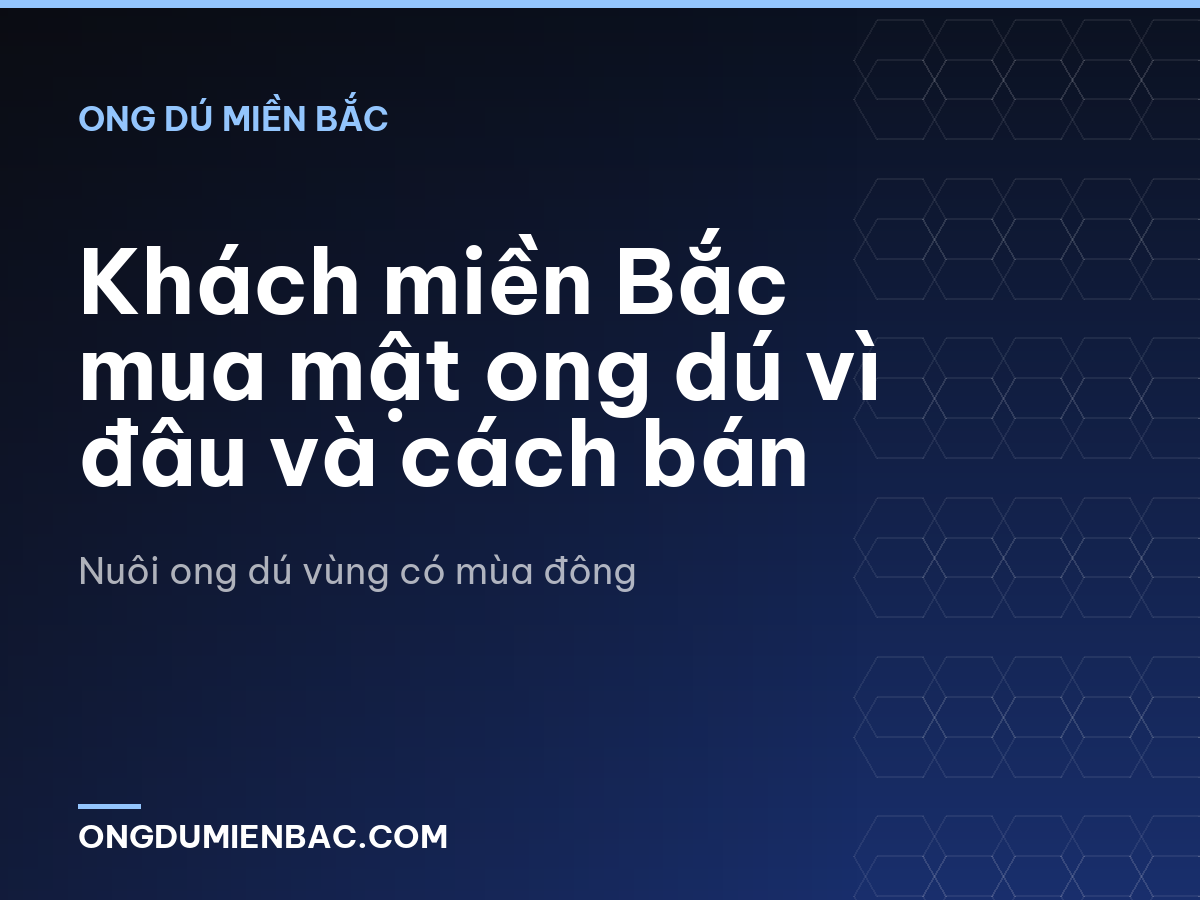 Khách miền Bắc mua mật ong dú vì đâu và cách bán