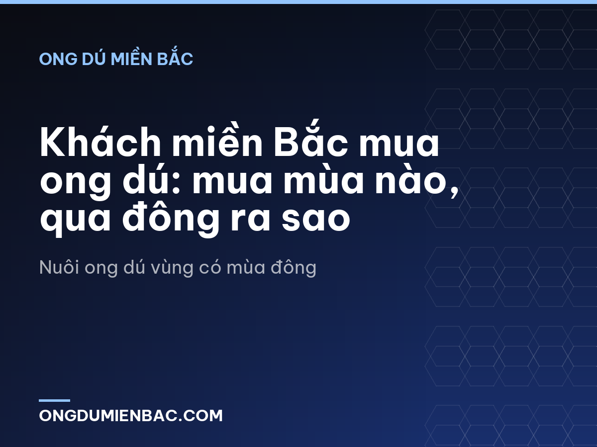 Khách miền Bắc mua ong dú: mua mùa nào, qua đông ra sao