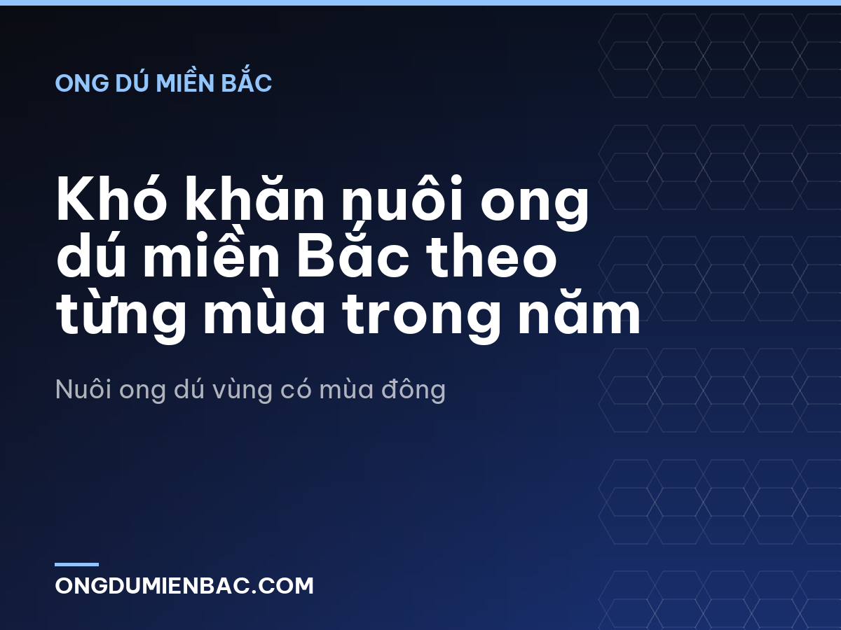 Khó khăn nuôi ong dú miền Bắc theo từng mùa trong năm