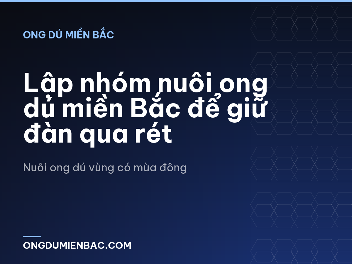 Lập nhóm nuôi ong dú miền Bắc để giữ đàn qua rét