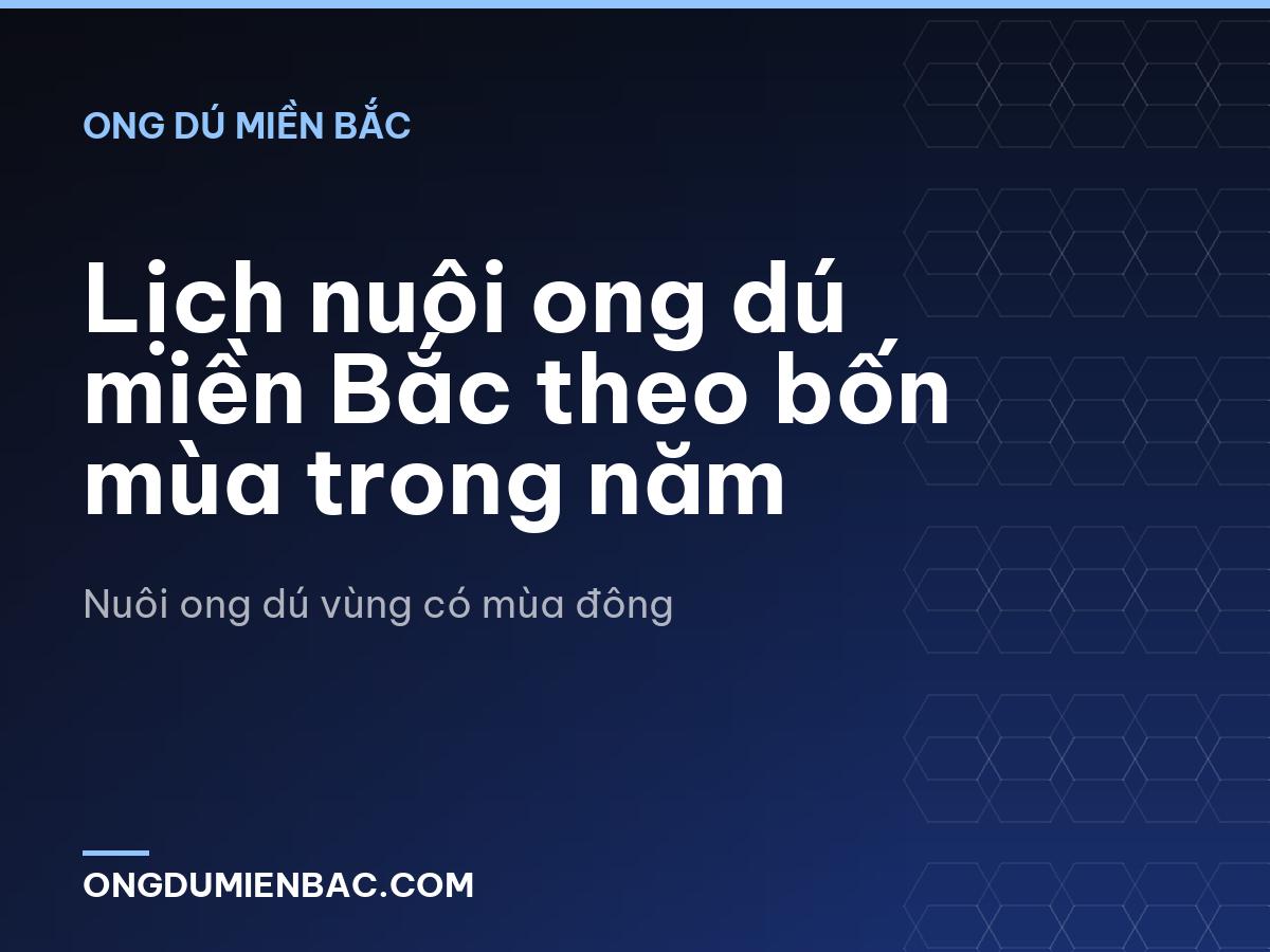 Lịch nuôi ong dú miền Bắc theo bốn mùa trong năm