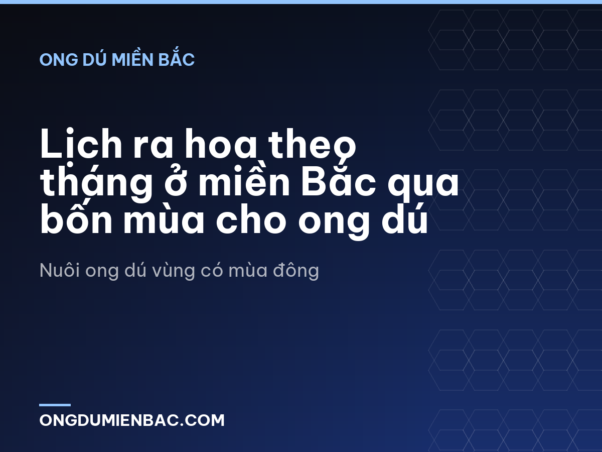 Lịch ra hoa theo tháng ở miền Bắc qua bốn mùa cho ong dú
