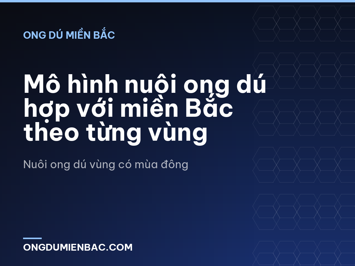 Mô hình nuôi ong dú hợp với miền Bắc theo từng vùng