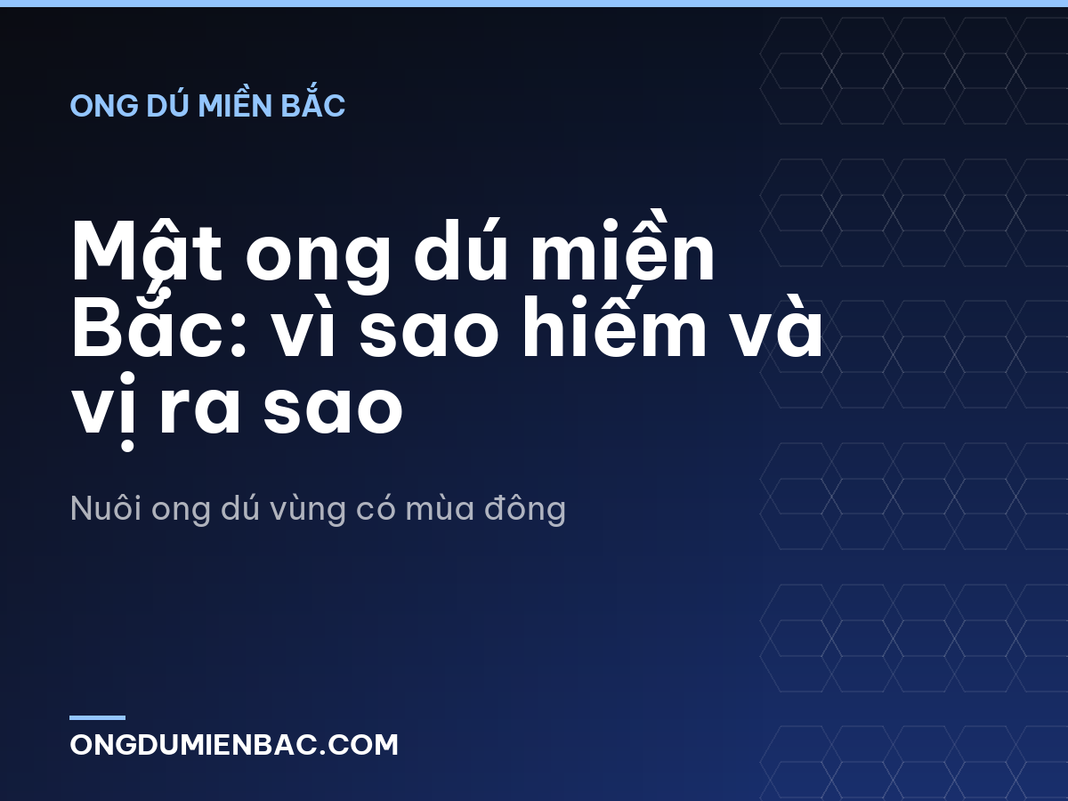 Mật ong dú miền Bắc: vì sao hiếm và vị ra sao