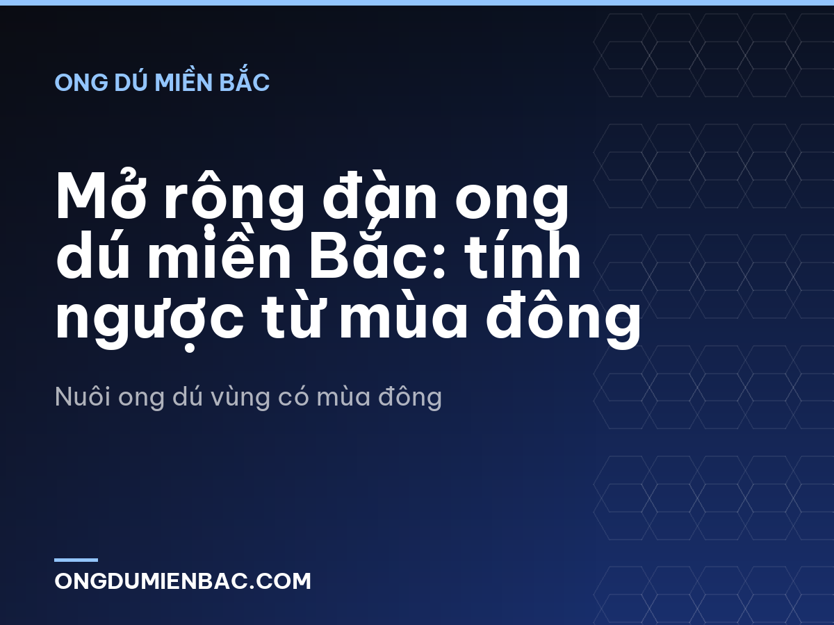 Mở rộng đàn ong dú miền Bắc: tính ngược từ mùa đông