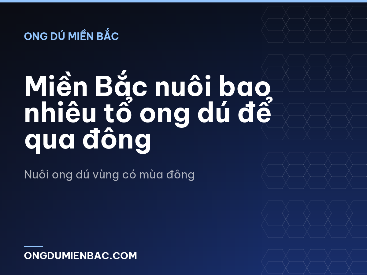 Miền Bắc nuôi bao nhiêu tổ ong dú để qua đông