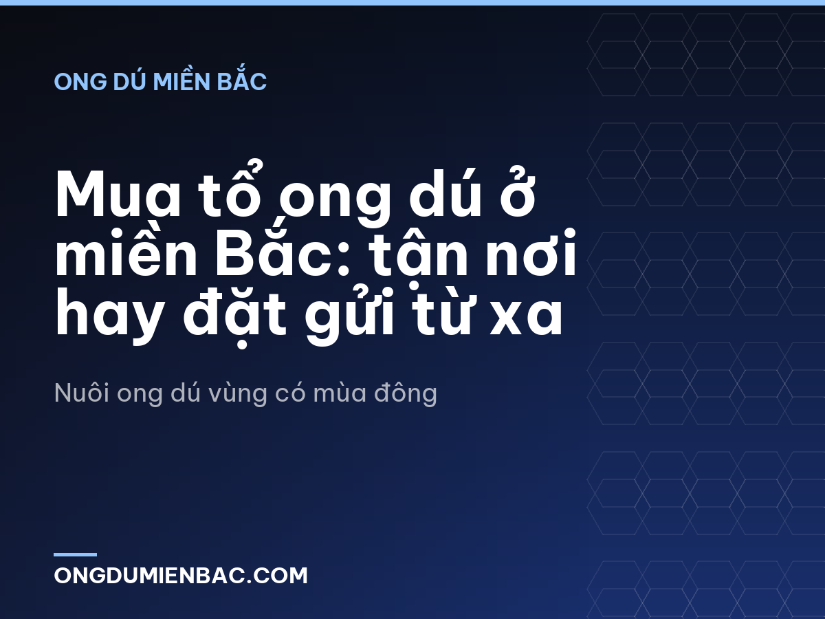 Mua tổ ong dú ở miền Bắc: tận nơi hay đặt gửi từ xa
