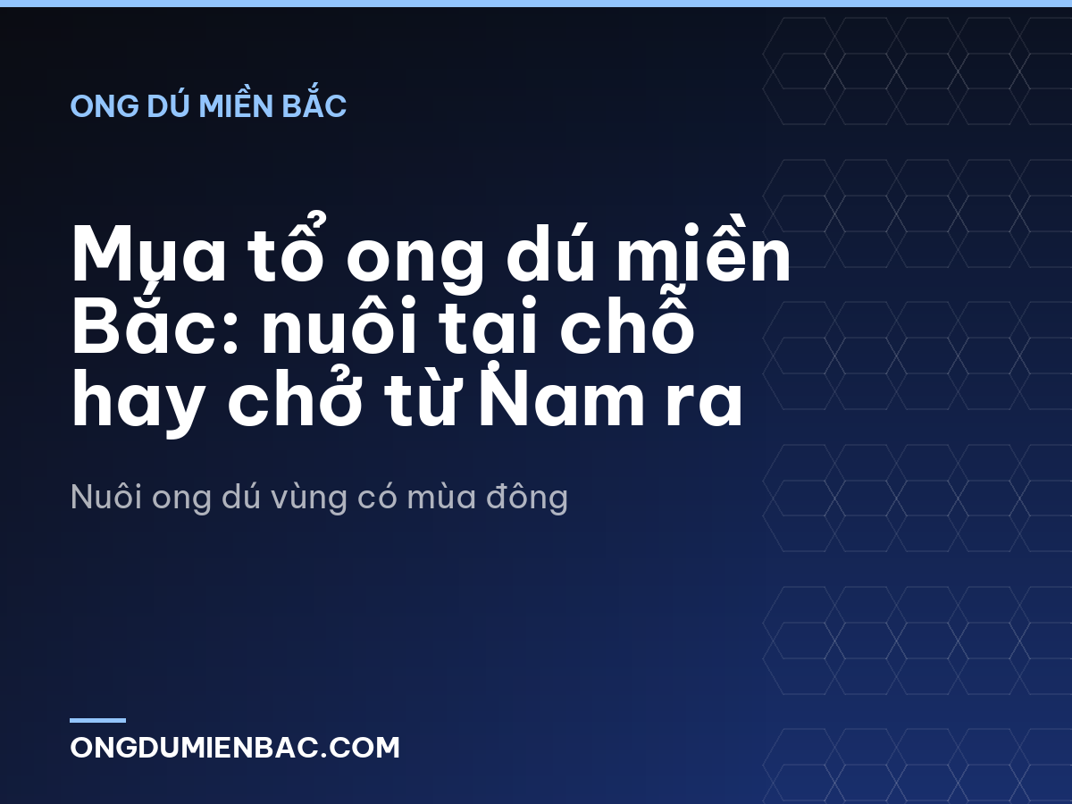 Mua tổ ong dú miền Bắc: nuôi tại chỗ hay chở từ Nam ra