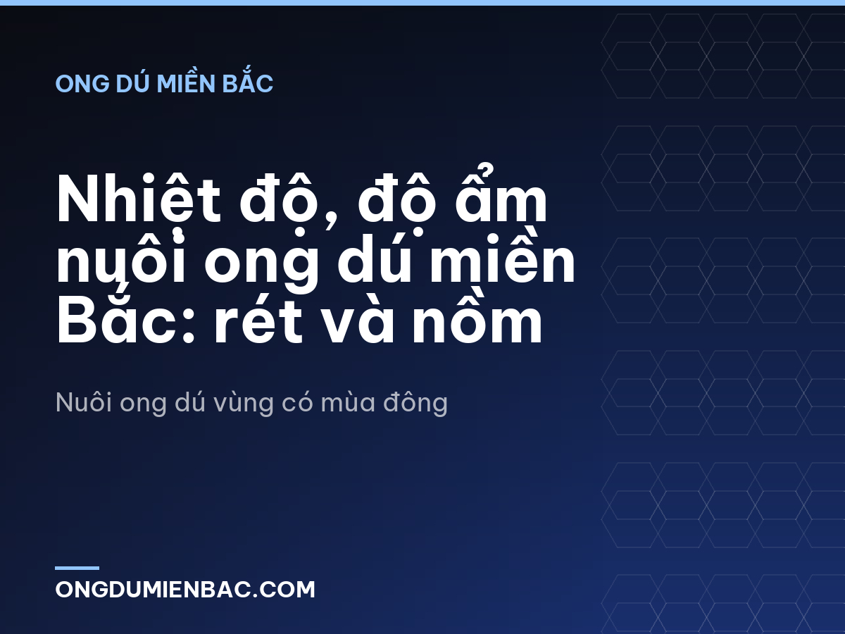 Nhiệt độ, độ ẩm nuôi ong dú miền Bắc: rét và nồm