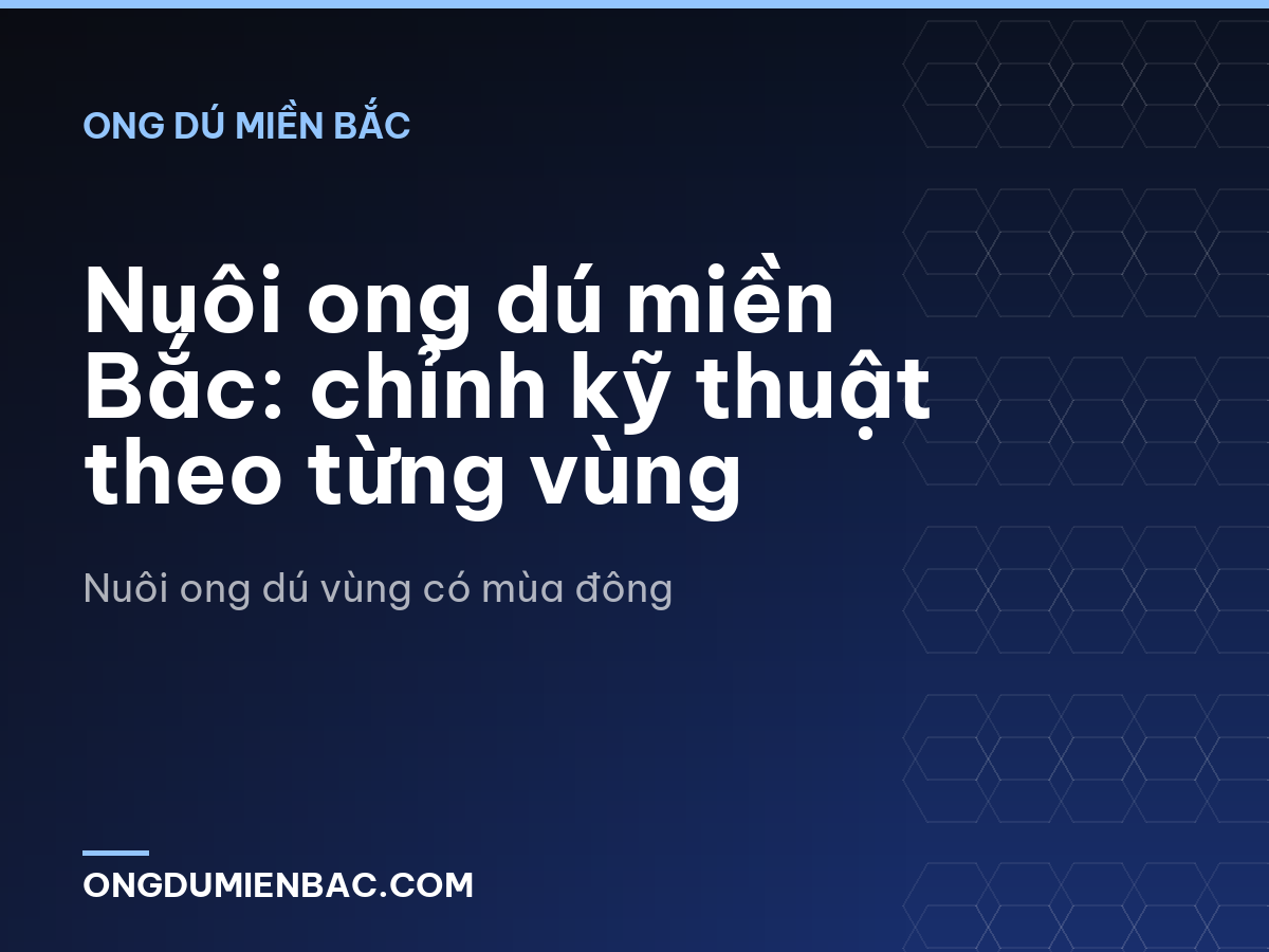 Nuôi ong dú miền Bắc: chỉnh kỹ thuật theo từng vùng