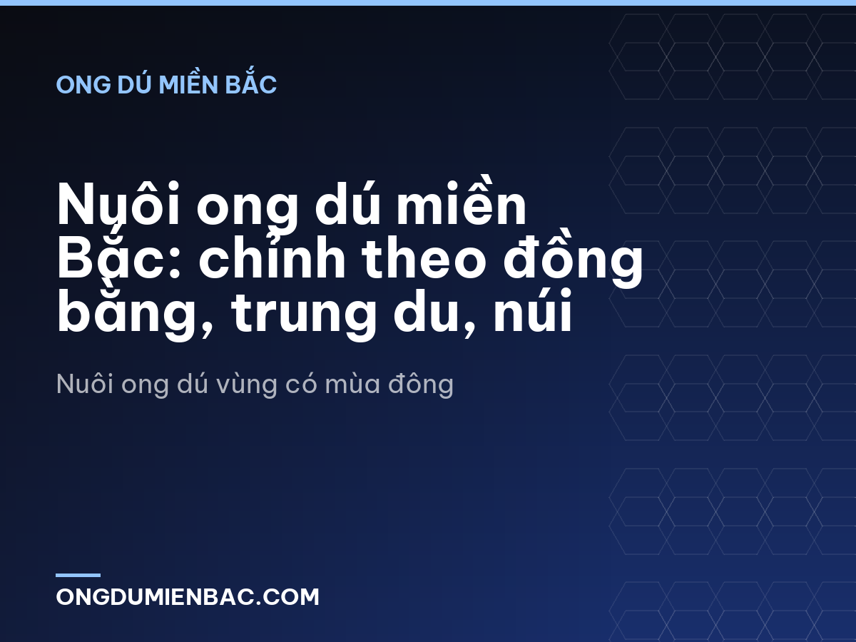 Nuôi ong dú miền Bắc: chỉnh theo đồng bằng, trung du, núi