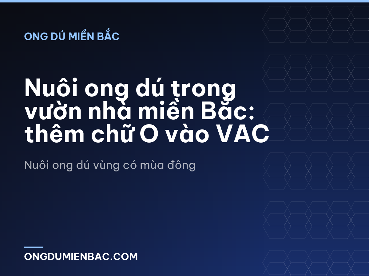 Nuôi ong dú trong vườn nhà miền Bắc: thêm chữ O vào VAC