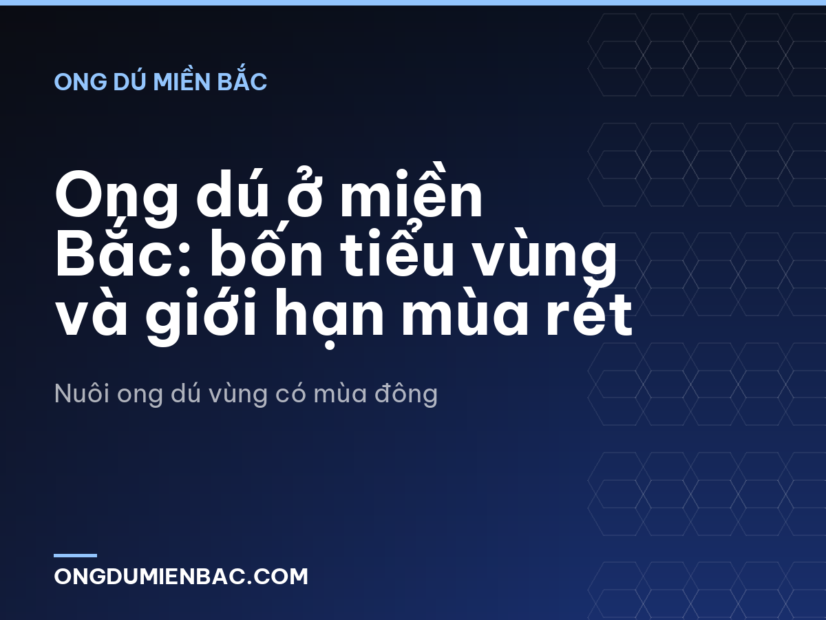Ong dú ở miền Bắc: bốn tiểu vùng và giới hạn mùa rét