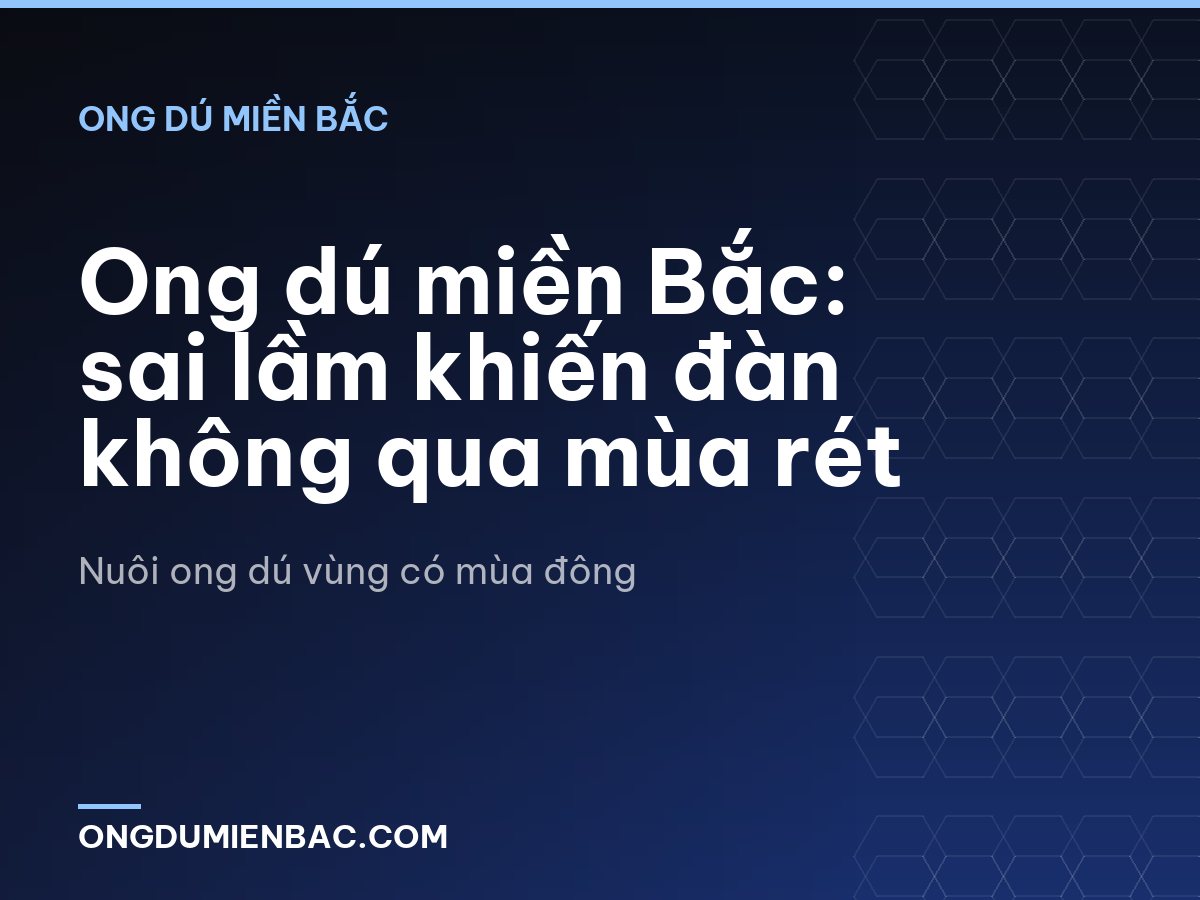 Ong dú miền Bắc: sai lầm khiến đàn không qua mùa rét