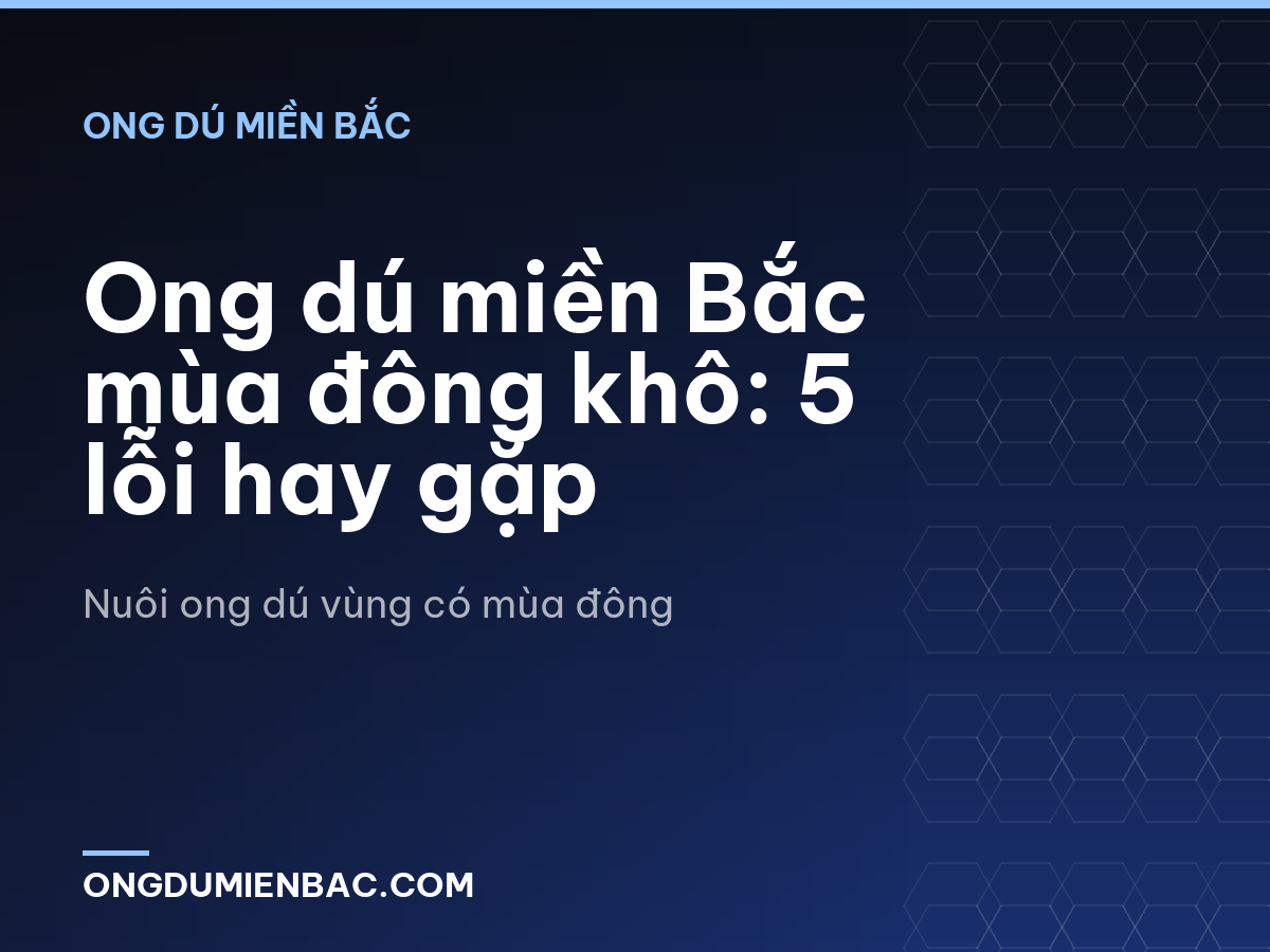 Ong dú miền Bắc mùa đông khô: 5 lỗi hay gặp