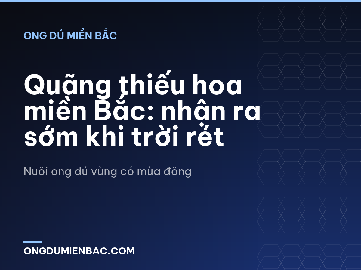 Quãng thiếu hoa miền Bắc: nhận ra sớm khi trời rét