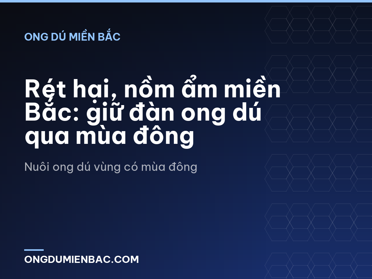Rét hại, nồm ẩm miền Bắc: giữ đàn ong dú qua mùa đông