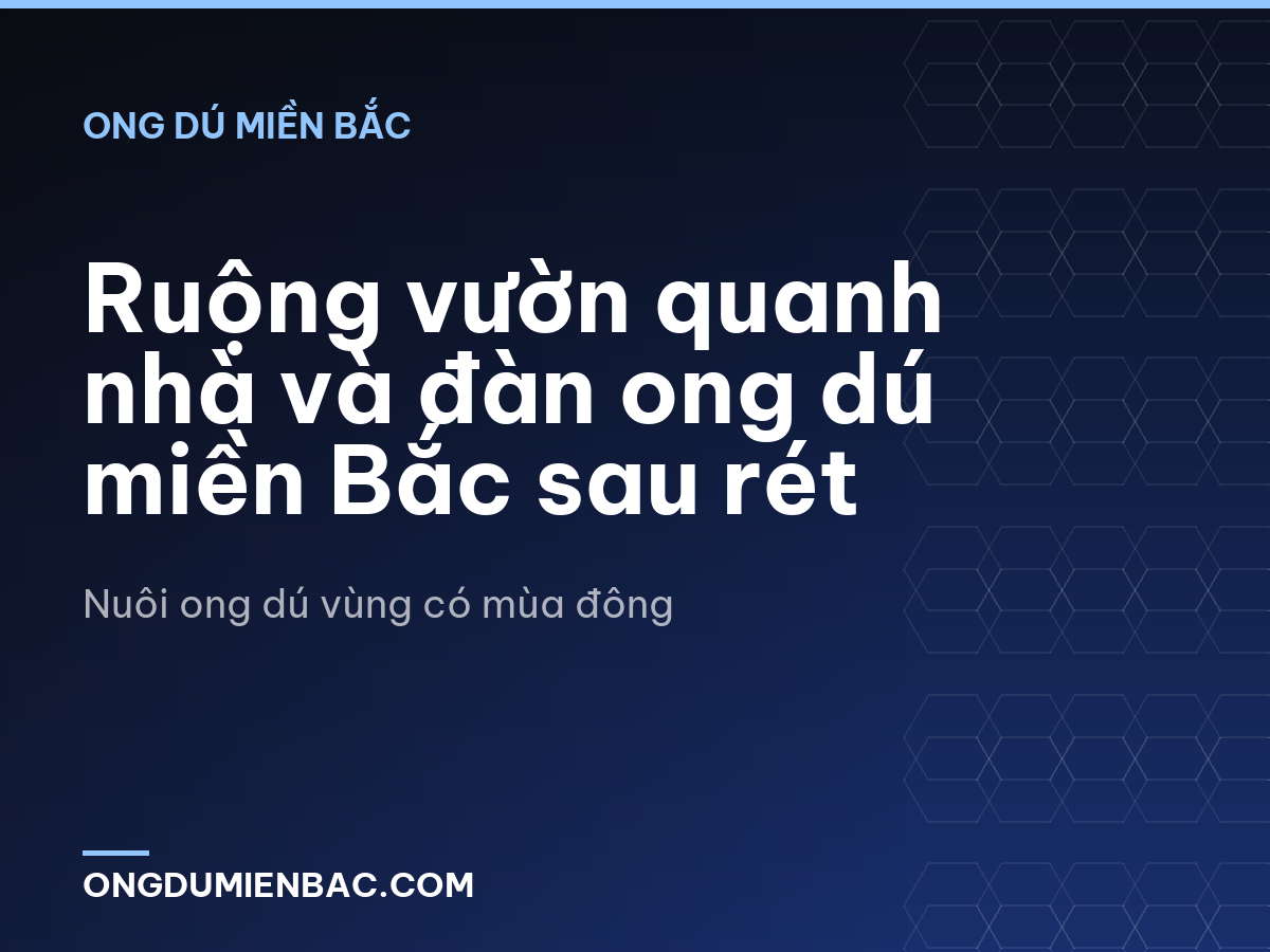 Ruộng vườn quanh nhà và đàn ong dú miền Bắc sau rét