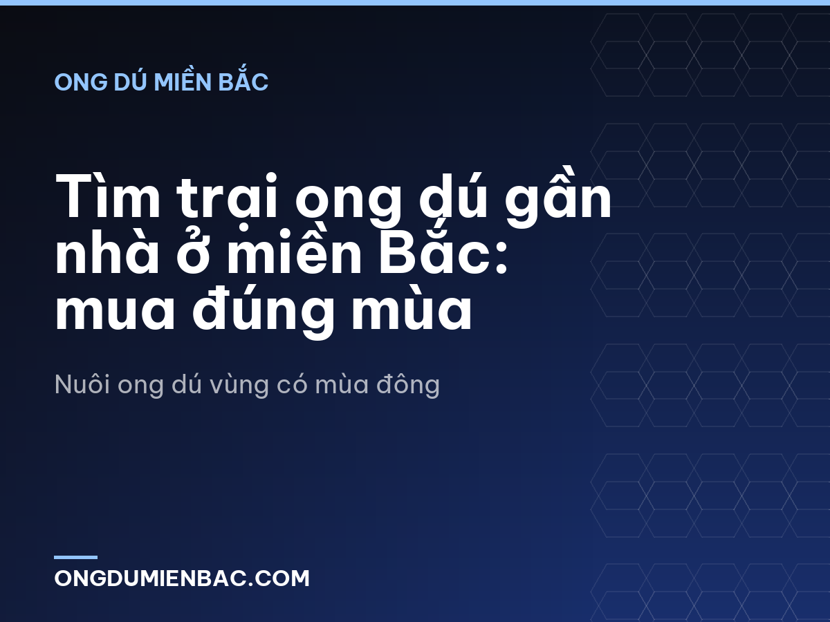 Tìm trại ong dú gần nhà ở miền Bắc: mua đúng mùa
