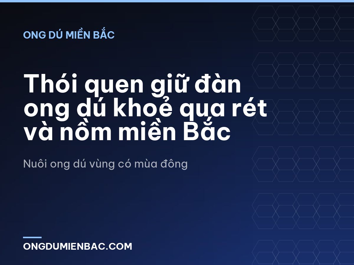Thói quen giữ đàn ong dú khoẻ qua rét và nồm miền Bắc