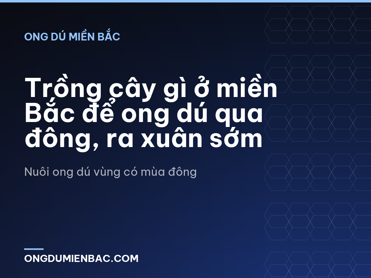 Trồng cây gì ở miền Bắc để ong dú qua đông, ra xuân sớm