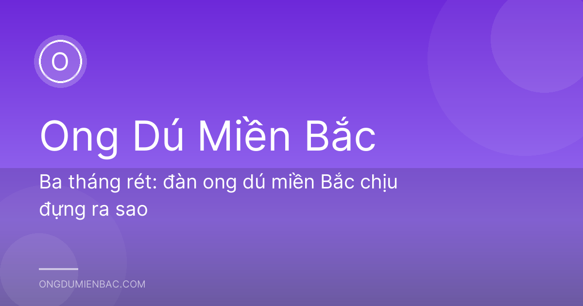 Ba tháng rét: đàn ong dú miền Bắc chịu đựng ra sao