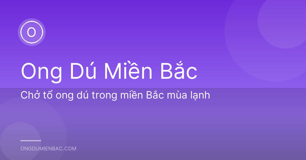 Chở tổ ong dú trong miền Bắc mùa lạnh