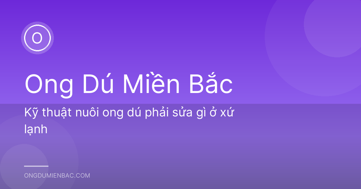 Kỹ thuật nuôi ong dú phải sửa gì ở xứ lạnh