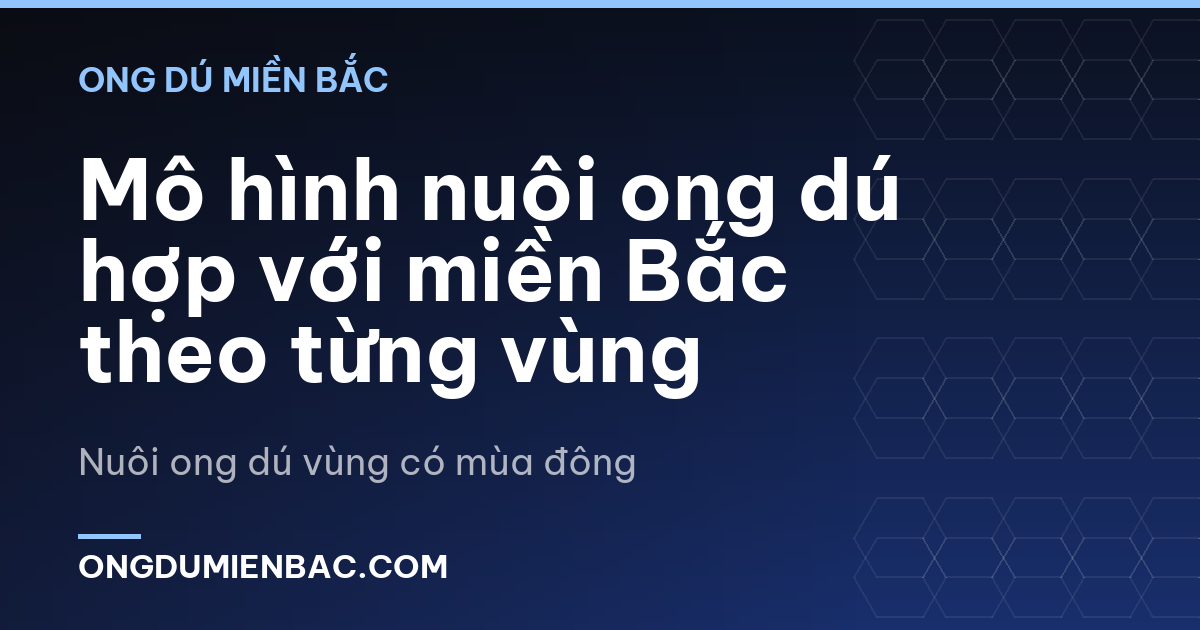 Mô hình nuôi ong dú hợp với miền Bắc theo từng vùng