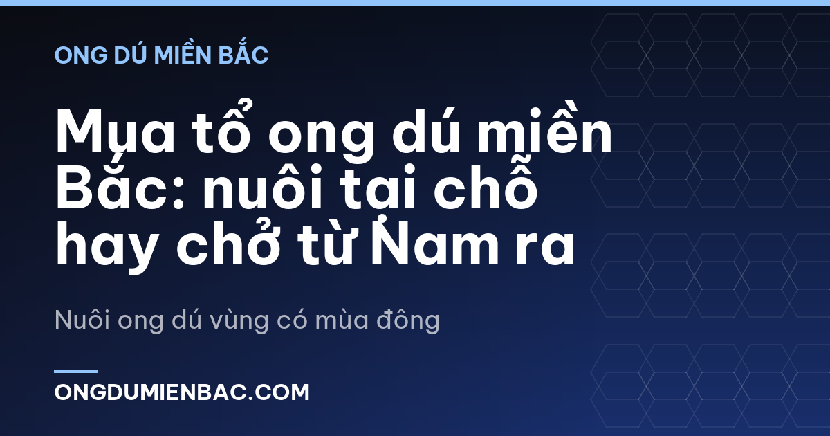 Mua tổ ong dú miền Bắc: nuôi tại chỗ hay chở từ Nam ra