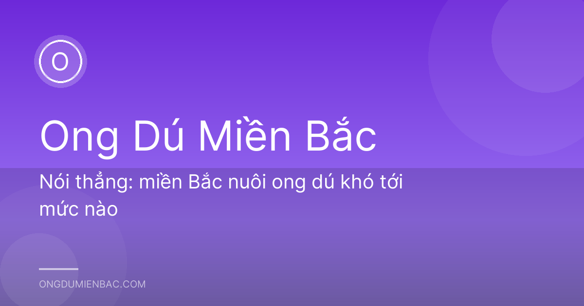 Nói thẳng: miền Bắc nuôi ong dú khó tới mức nào