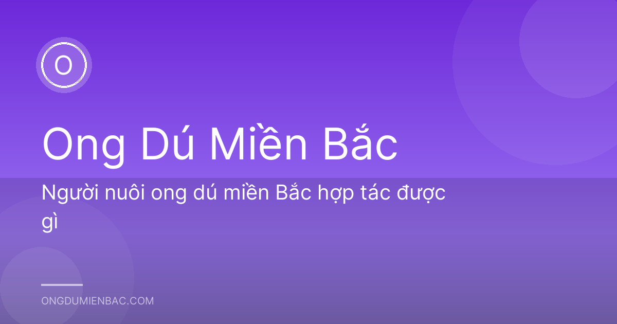Người nuôi ong dú miền Bắc hợp tác được gì