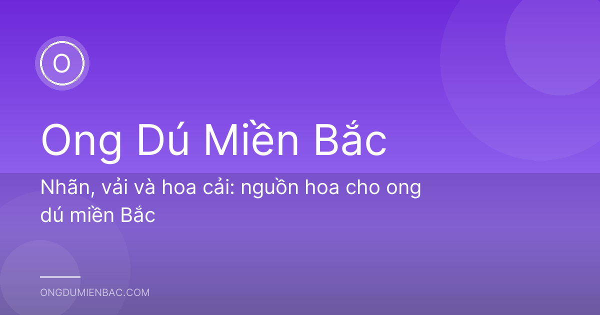 Nhãn, vải và hoa cải: nguồn hoa cho ong dú miền Bắc