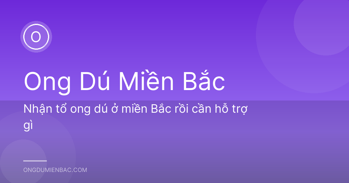 Nhận tổ ong dú ở miền Bắc rồi cần hỗ trợ gì