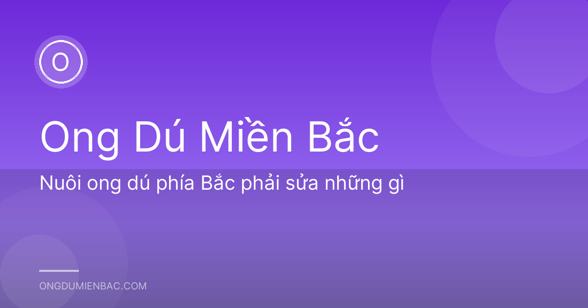 Nuôi ong dú phía Bắc phải sửa những gì