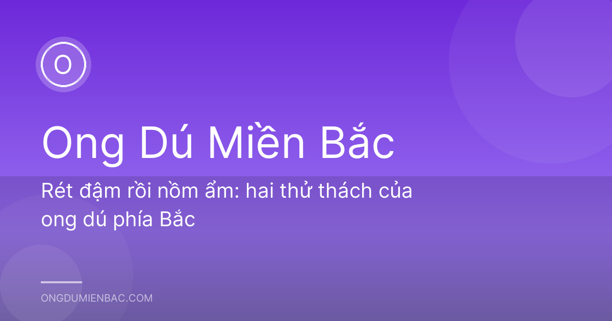 Rét đậm rồi nồm ẩm: hai thử thách của ong dú phía Bắc